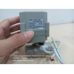 Motorized ball valve with timer control